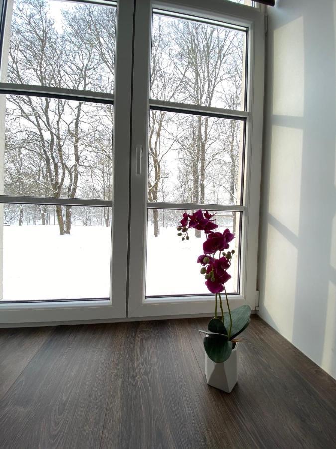 Vabriku 6 Apartment With Sauna 拉克韦雷 外观 照片